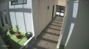 Caméra IP - MX