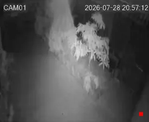 Caméra IP - IR
