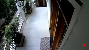 Caméra IP - US