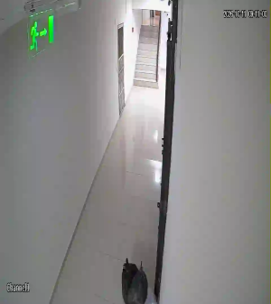 Caméra IP - PY