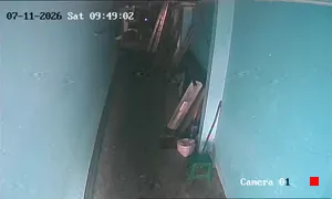 Caméra IP - TH
