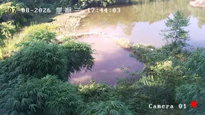 Caméra IP - CN