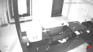 Caméra IP - TN