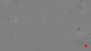 Caméra IP - IN