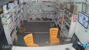 Caméra IP - IN