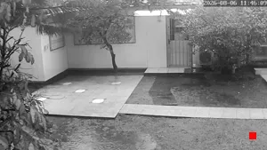 Caméra IP - UY