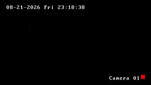 Caméra IP - TH
