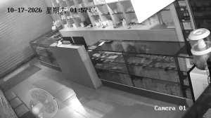 Caméra IP - CN