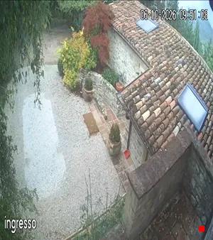 Caméra IP - IT
