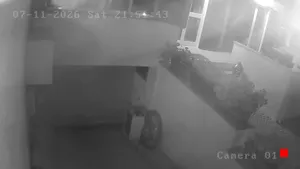 Caméra IP - IT