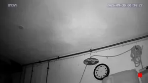 Caméra IP - DE