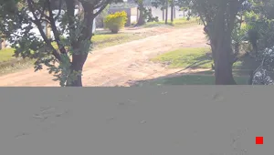 Caméra IP - ZA