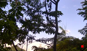 Caméra IP - TW