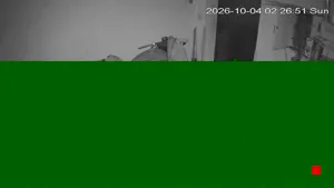 Caméra IP - PL
