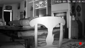 Caméra IP - IT