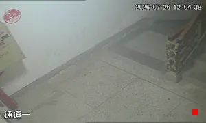 Caméra IP - CN