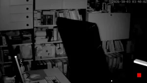 Caméra IP - DE