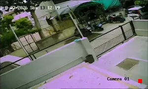 Caméra IP - IN