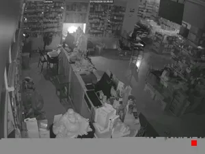 Caméra IP - TH