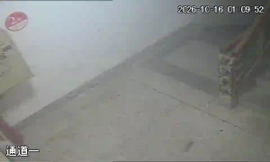 Caméra IP - CN