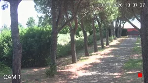 Caméra IP - IT