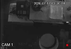 Caméra IP - CA