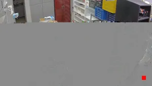 Caméra IP - EG