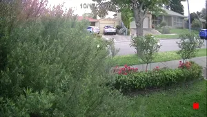 Caméra IP - AU