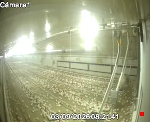 Caméra IP - ES