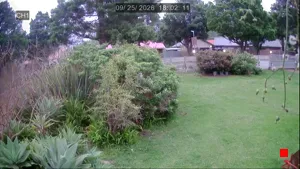 Caméra IP - ZA