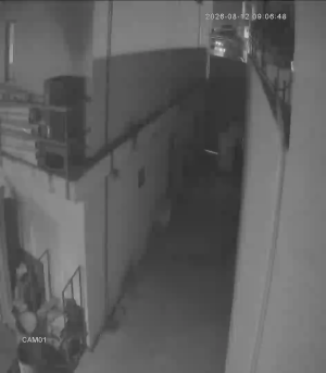 Caméra IP - ZA