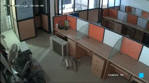 Caméra IP - IN
