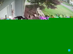 Caméra IP - US