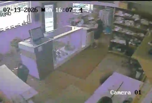Caméra IP - US
