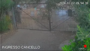 Caméra IP - IT