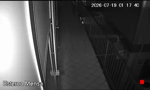 Caméra IP - IT