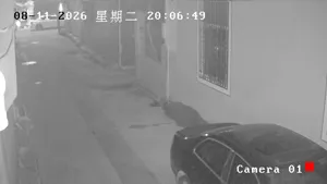 Caméra IP - CN