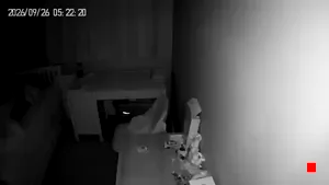 Caméra IP - IN
