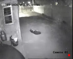 Caméra IP - UY