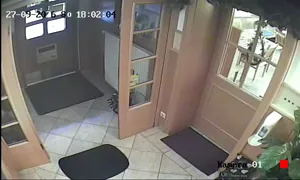 Caméra IP - DE