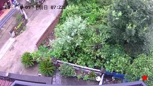 Caméra IP - CN