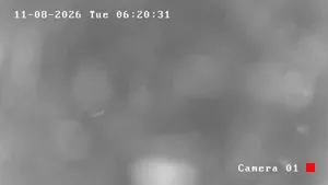 Caméra IP - MA