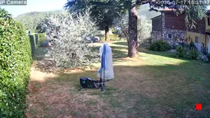 Caméra IP - IT