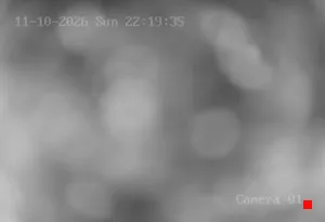 Caméra IP - DE