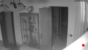 Caméra IP - IT