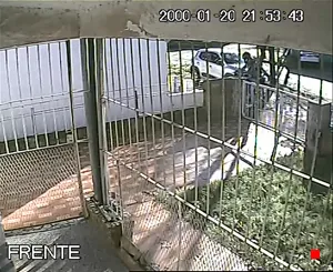 Caméra IP - AR