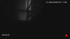 Caméra IP - IT