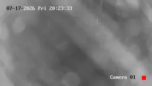 Caméra IP - CA