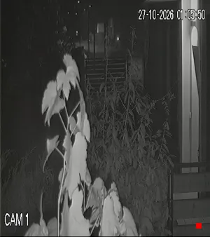 Caméra IP - IT