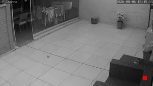 Caméra IP - UY